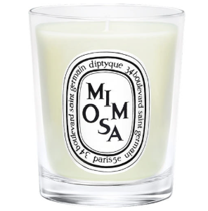 Nến thơm Diptyque Small Candle 70g